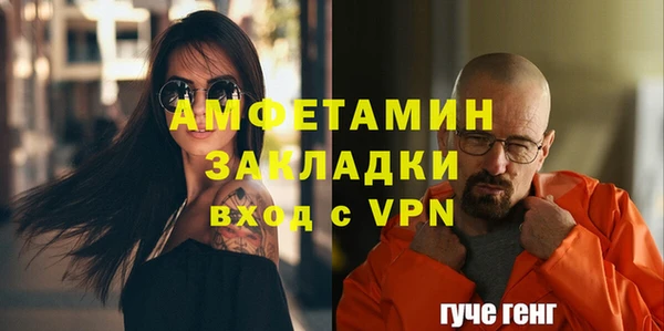 шишки Верхний Тагил