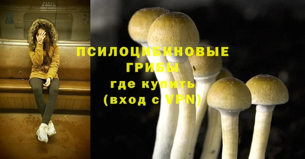 2c-b Беломорск
