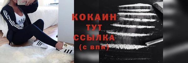 Альфа ПВП Бородино