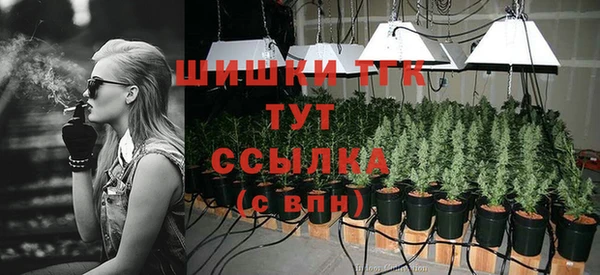 прущие грибы Беслан