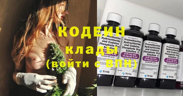 прущие грибы Беслан