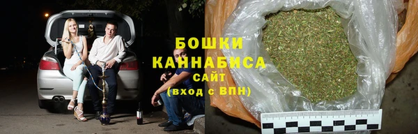 шишки Верхний Тагил