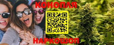 прущие грибы Малоярославец