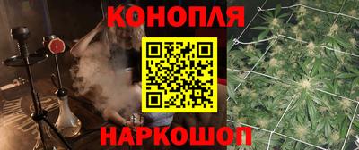 прущие грибы Малоярославец