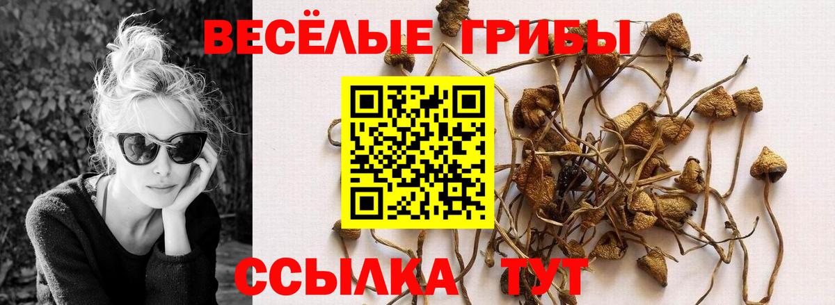 Псилоцибиновые грибы мухоморы Горно-Алтайск