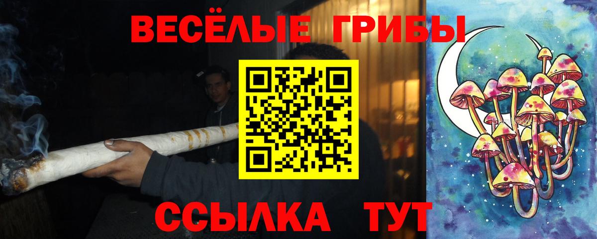 Псилоцибиновые грибы ЛСД  Вход с VPN  Горно-Алтайск  Галлюциногенные грибы ЛСД 