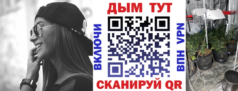 наркота Горно-Алтайск Канабис индика