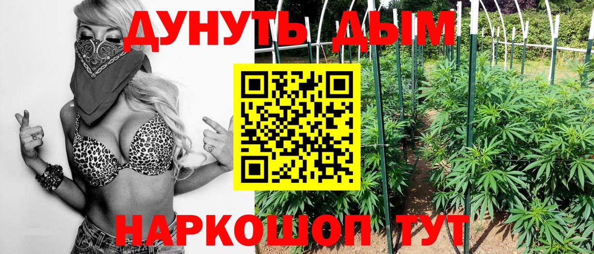 Бошки марихуана планчик Горно-Алтайск